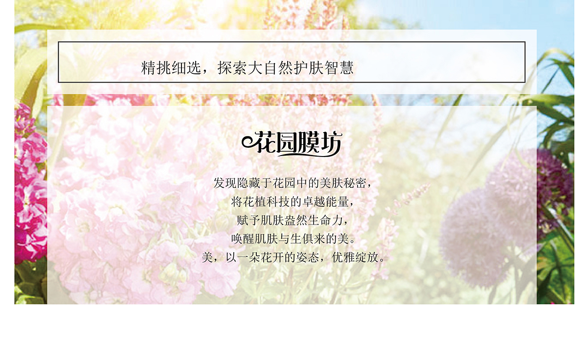 成分篇_01.jpg