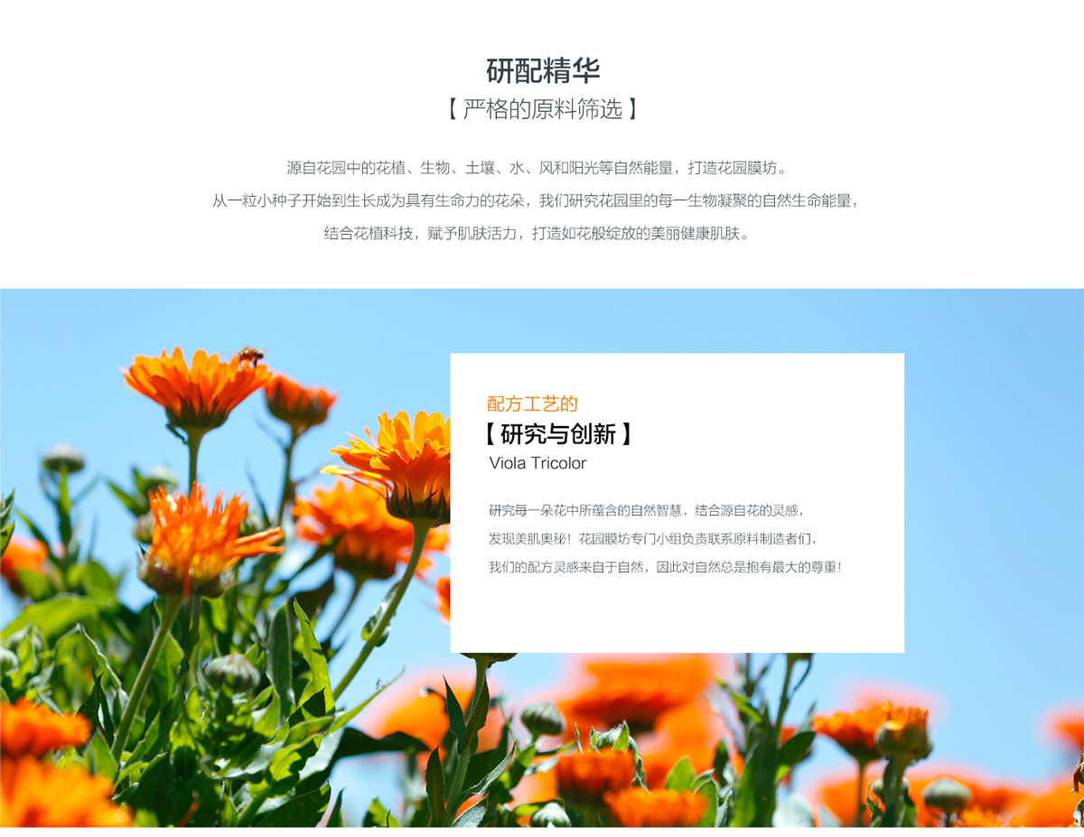 精华_01.jpg